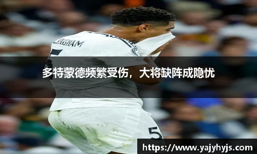 金年会下载