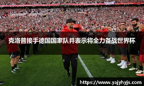 金年会下载