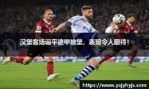 金年会下载