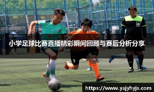 金年会官网