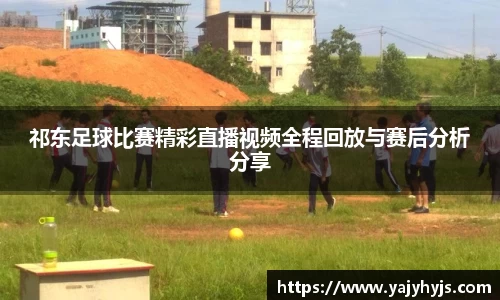 金年会下载