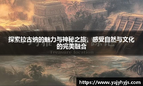 金年会官网